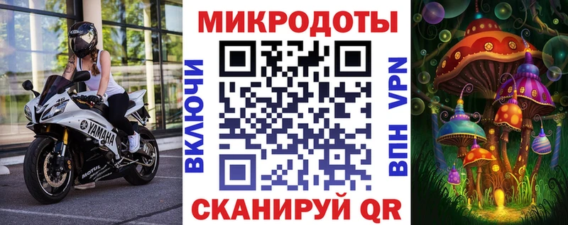 где продают   Павлово  Галлюциногенные грибы GOLDEN TEACHER 